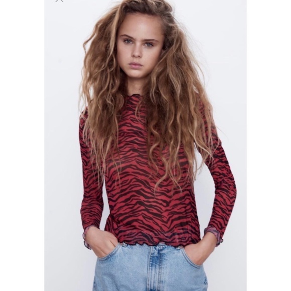 Zara Mesh Red + Black Zebra Striped Long Sleeve top Sz L
